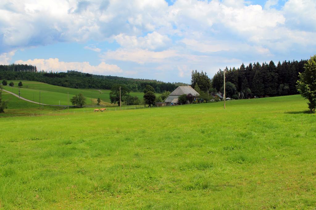 Ferienwohnung Schwarzwaldhof Titisee-Neustadt Eksteriør billede